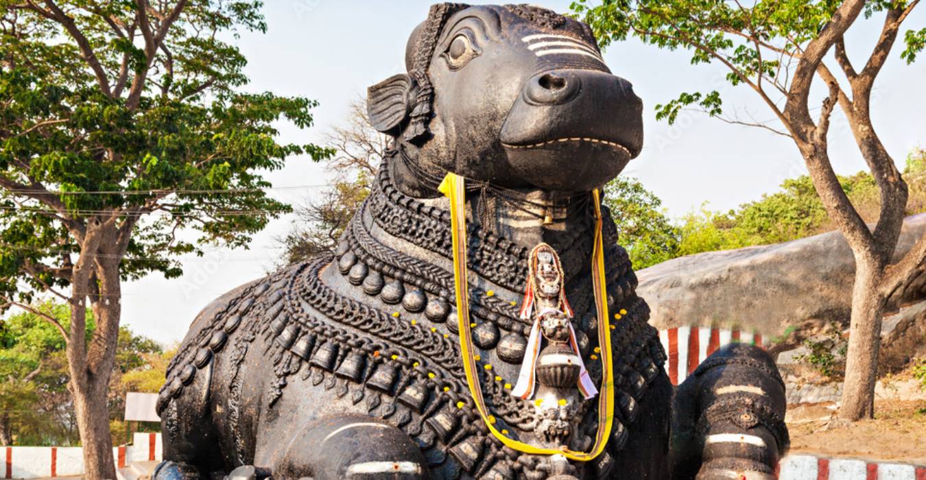 New Project (9) New Project (9)