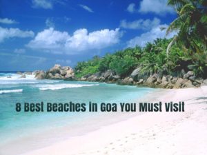 Best Beaches in Goa