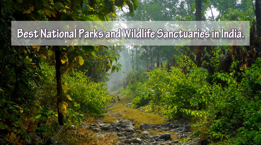 Best National Parks and Wildlife Sanctuaries