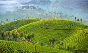 Coonoor-img