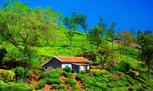 Wayanad