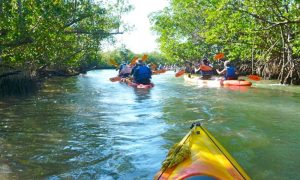 Miami-river-park