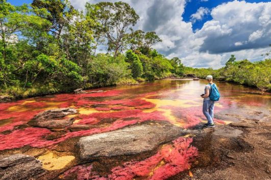 Columbia-lonely-wait