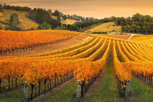 Port-Augusta-australia