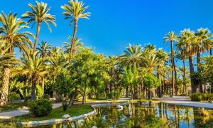 Elche-spain