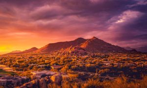 Phoenix-Arizona
