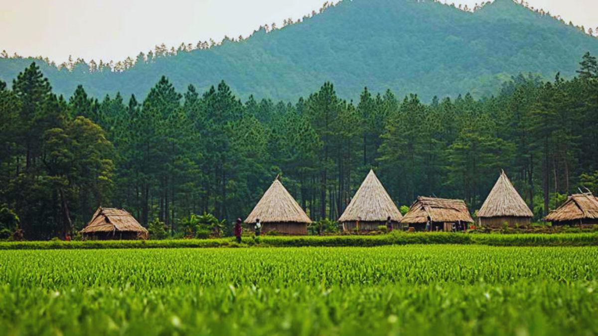 MEGHALAYA, ZERO, ARUNACHAL PRADESH, KHIMSAR, RAJASTHAN, VALPARAI, TAMIL NADU, KARNATAKA, CHOPTA