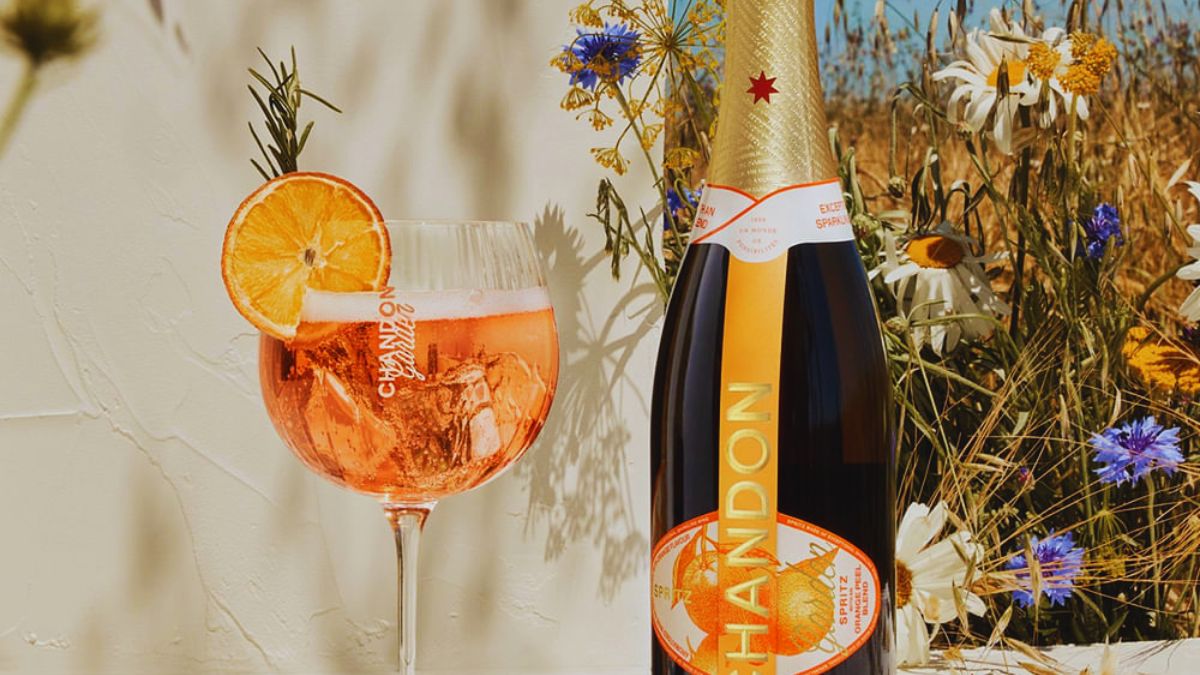 Vineyard, Winery, Sula, York, Big Banyan, Vellonni