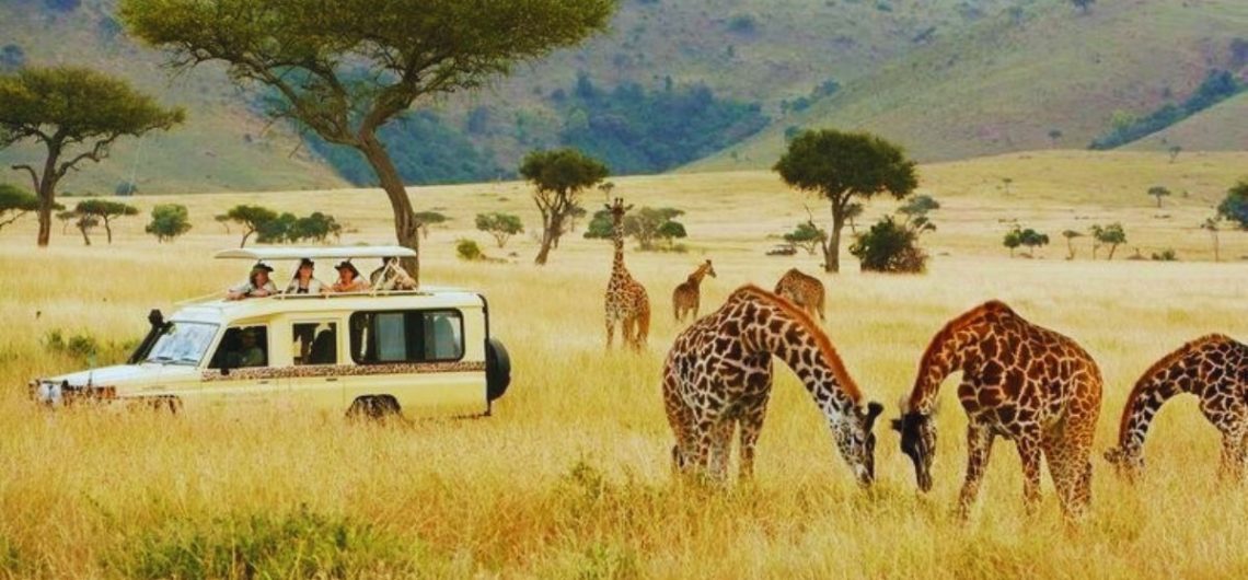 KENYA, AFRICA, SAFARI, MASAI MARA, NAIROBI, DELHI