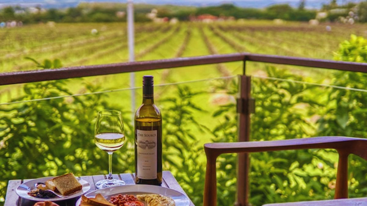 Vineyard, Winery, Sula, York, Big Banyan, Vellonni