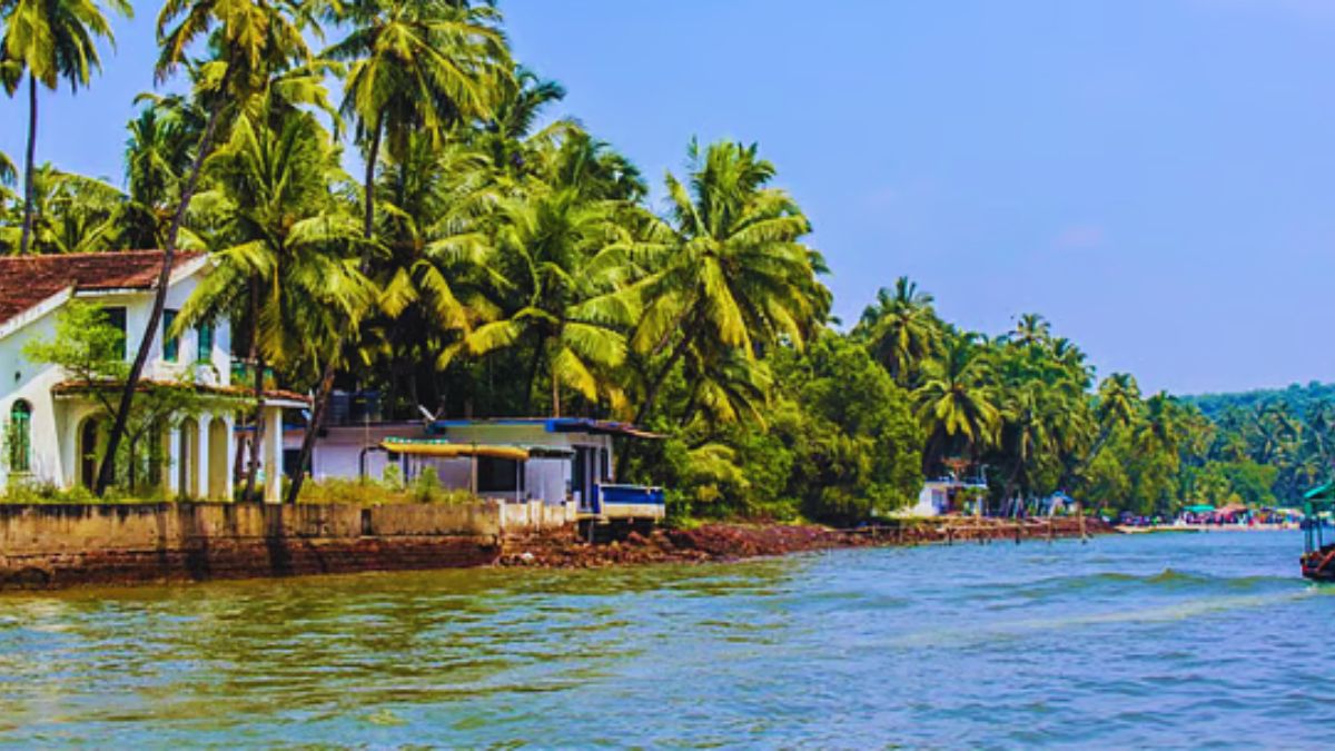 Honeymoon, Goa, Udaipur, Kerala, Srinagar, Andaman