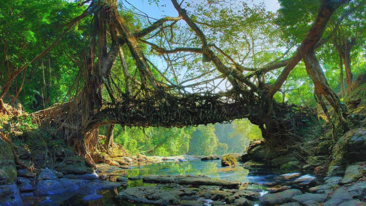 Eco Tourism, India, Periyar, Kerala, Coorg, Sunderbans, Uttarakhand, Munnar, Spiti Valley, Ladakh