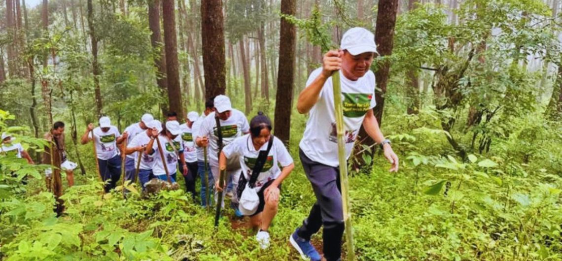 Eco Tourism, India, Periyar, Kerala, Coorg, Sunderbans, Uttarakhand, Munnar, Spiti Valley, Ladakh