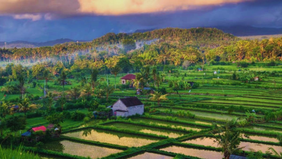 Karangasem Bali, hidden beaches, cultural heritage, Bali, Amed Beach, Lipah Beach