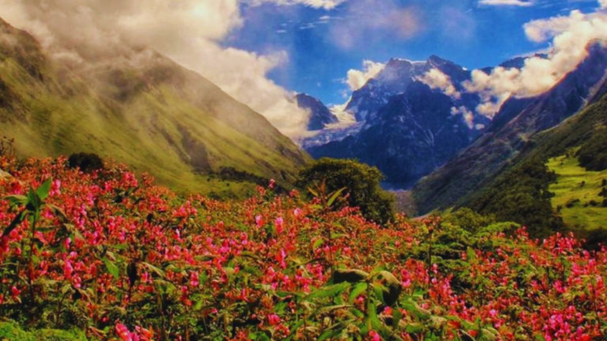 flower valleys in India, Valley of Flowers Uttarakhand, Kaas Plateau Satara, Yumthang Valley Sikkim, Dzukou Valley Nagaland, Munnar Valley Kerala, best natural destinations India, eco-tourism India, wildflower valleys, nature travel India, Neelakurinji flower, rhododendron valley, Indian travel guide, best time to visit Valley of Flowers
