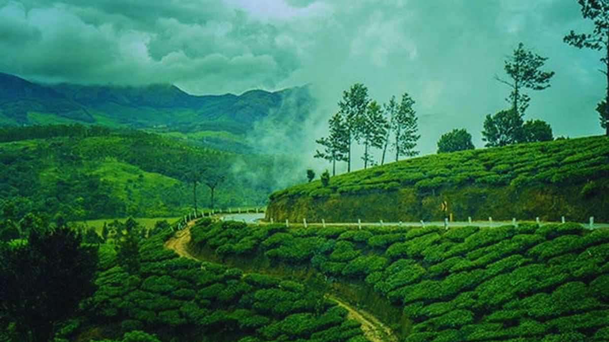 offbeat adventure destinations in India, adventure travel in India, hidden travel gems India, unexplored adventure places in India, lesser-known adventure destinations India, adventure tourism India, offbeat destinations India, adventure getaways India, Mechuka Arunachal Pradesh travel, Ziro Valley trekking, Dandeli rafting Karnataka, Betul Goa adventure, Kanthalloor Kerala travel, Valparai Tamil Nadu wildlife, Mawlynnong and Dawki Meghalaya, adventure holidays India, best offbeat travel places India, hidden Himalayan destinations, adventure trips India, eco adventure travel India, adrenaline rush destinations India, undiscovered travel spots India, nature adventure India, remote travel destinations India, mountain trekking India, river rafting India, jungle camping India, adventure seekers India, offbeat places to visit in India, travel beyond Goa and Ladakh, alternative adventure destinations India