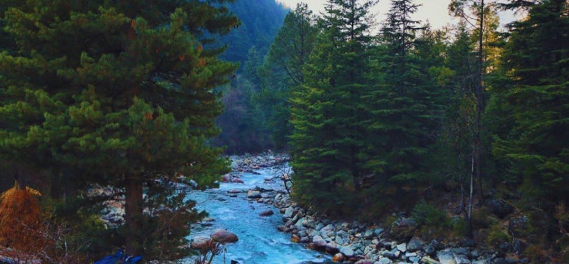 offbeat hill stations near Delhi, hidden hill stations near Delhi, weekend getaways from Delhi, peaceful hill stations near Delhi, less crowded hill stations, offbeat places to visit near Delhi, Uttarakhand offbeat destinations, Himachal hidden gems, best hill stations for weekend trips, unexplored hill stations in India, nature escapes near Delhi, best offbeat hill stations near Delhi for weekend trip, quiet mountain destinations near Delhi for couples, offbeat Uttarakhand hill stations under 400 km, peaceful hill stations near Delhi for 2–3 day trip, hidden gems in Himachal Pradesh near Delhi, nature and adventure offbeat destinations from Delhi, forest stays near Delhi for peaceful holiday, birdwatching destinations near Nainital, eco-friendly hill getaways near Delhi, less crowded mountain places for summer escape