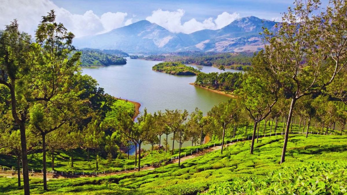 New Year destinations under 50000, budget New Year trips India, affordable New Year destinations India, New Year travel India under 50k, best New Year destinations India, Meghalaya New Year travel, Goa New Year budget trip, Himachal winter travel, Andaman New Year packages, Munnar New Year getaway, cheap New Year travel India, solo travel New Year India, festive destinations India under 50k, year-end travel India, pocket-friendly New Year vacations