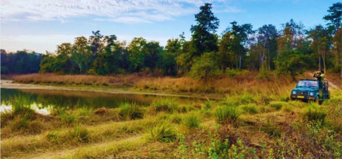 night safari in India, Satpura National Park night safari, Pench night safari, Bhimashankar fireflies, bioluminescent trails India, Mhadei Wildlife Sanctuary Goa, Sundarbans night boat safari, best wildlife experiences India, nocturnal wildlife India, night tourism India